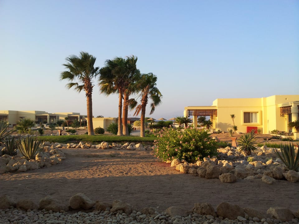 Gartenanlage Hotel Sheraton Soma Bay Resort