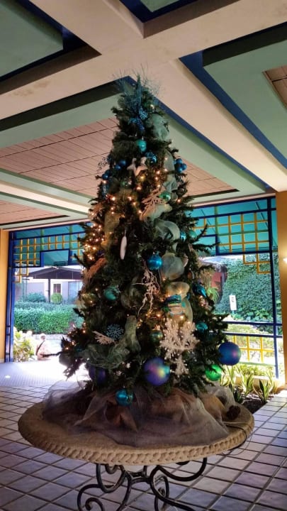 Weihnachtsbaum whala!boca chica