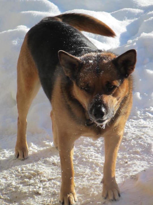 Sonstiges Naturferien Hilserhof