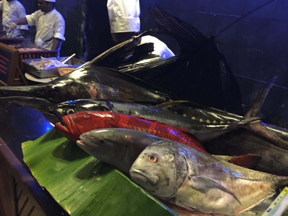 Gastro Kuredu Island Resort & Spa