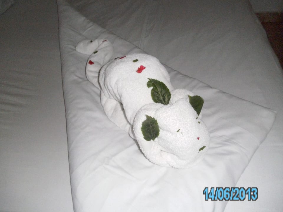 Handtuch-Hund Ghazala Beach