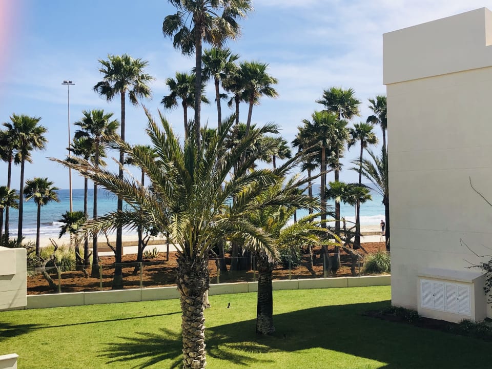 Gartenanlage Hipotels Mediterraneo Club