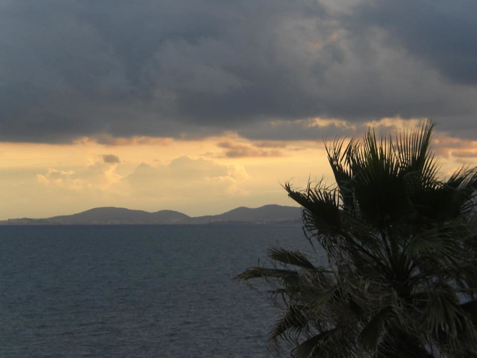Aussicht vom Balkon AluaSoul Palma