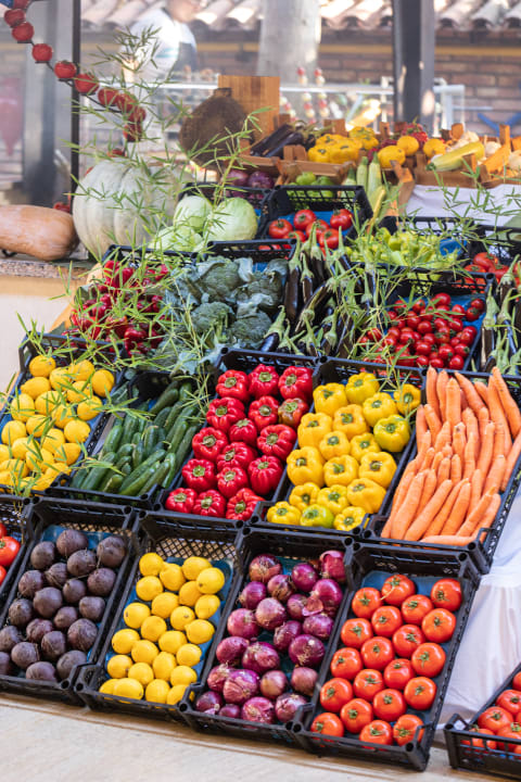 Gastro Club Hotel Phaselis Rose