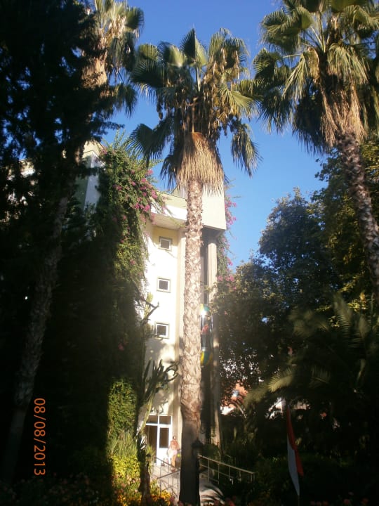 Haus Mimoza Botanik Hotel & Resort
