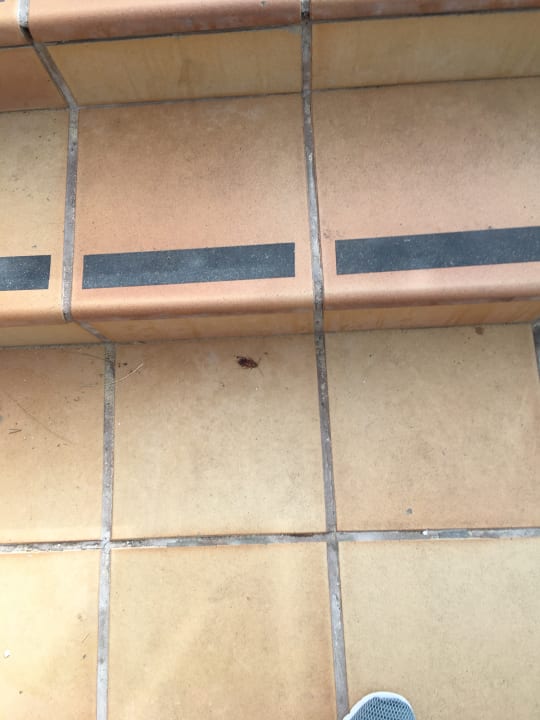 Sonstiges SBH Costa Calma Beach Resort