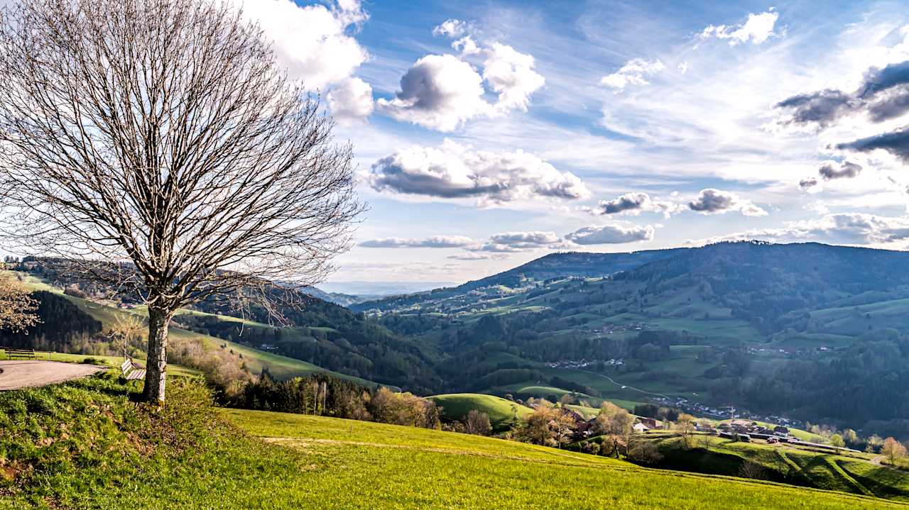 Ausblick Gästehaus Holzer Kreuz