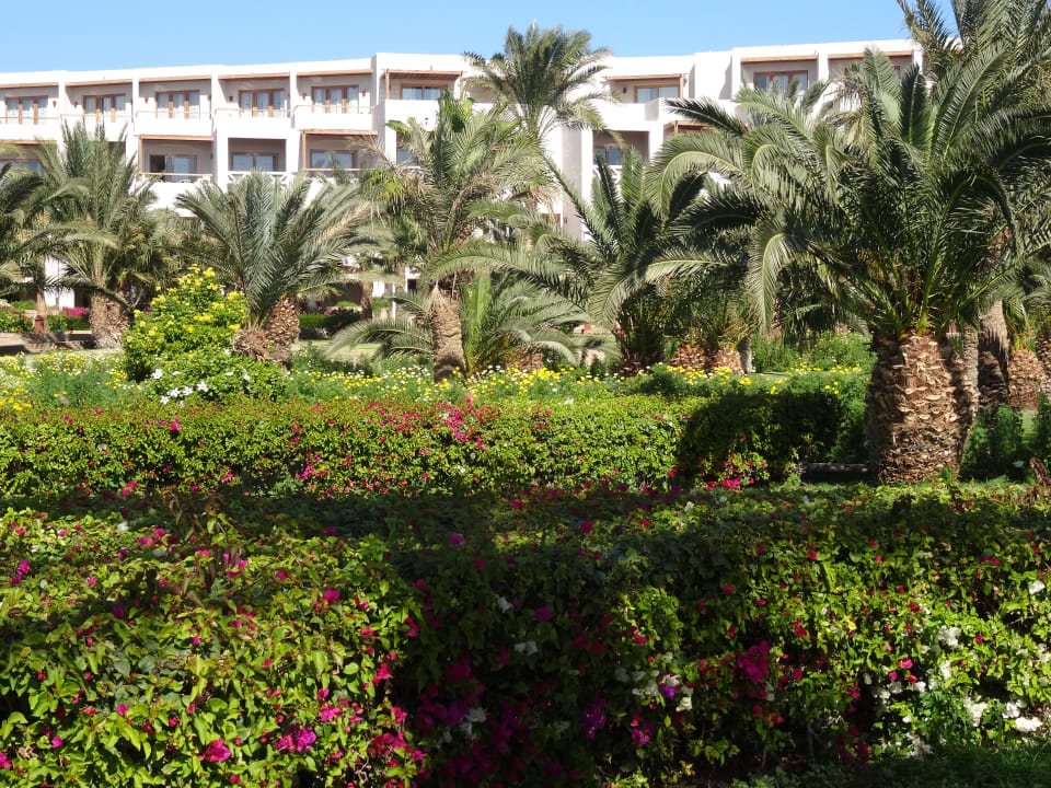 Gartenanlage Fort Arabesque Resort, Spa & Villas
