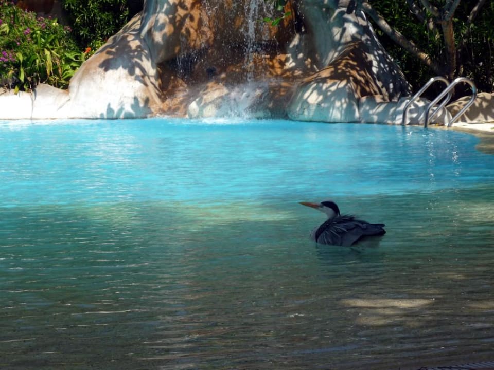 Erfrischung gefällig? Kuramathi Maldives