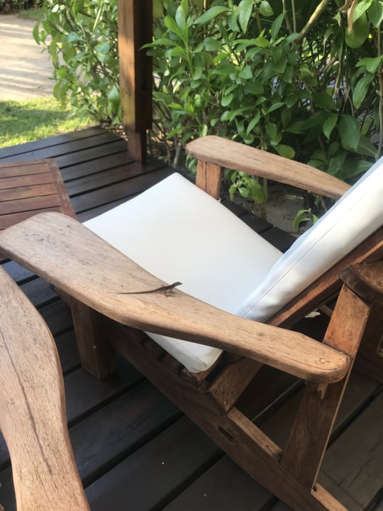 Zimmer Akumal Bay Beach & Wellness Resort