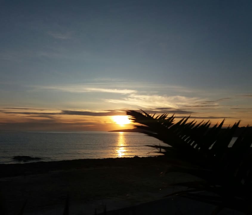 Außenansicht Hipotels Hipocampo Playa