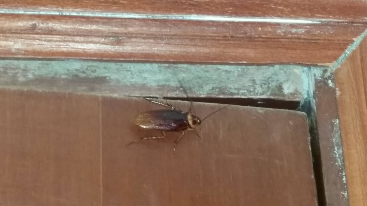 Nachbarn Titanic Beach Spa & Aqua Park