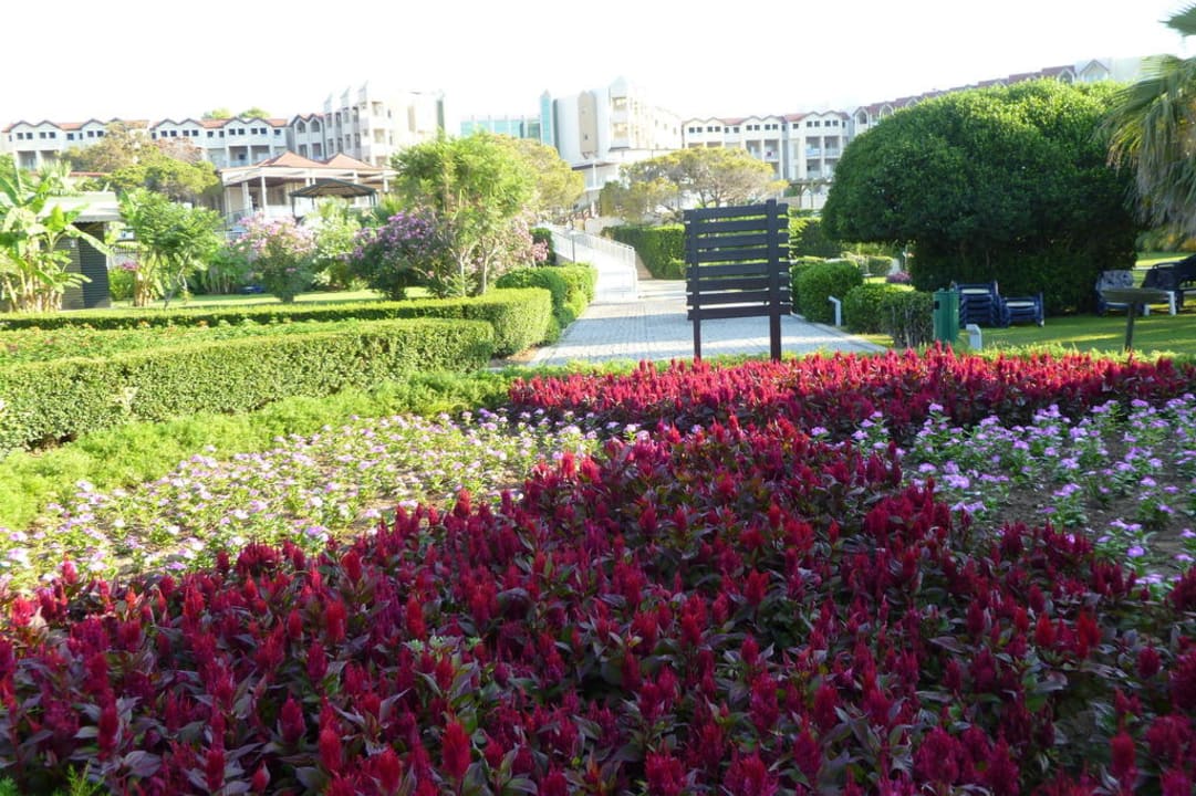 Blick vom Strandeingang! Arcanus Hotels Sorgun