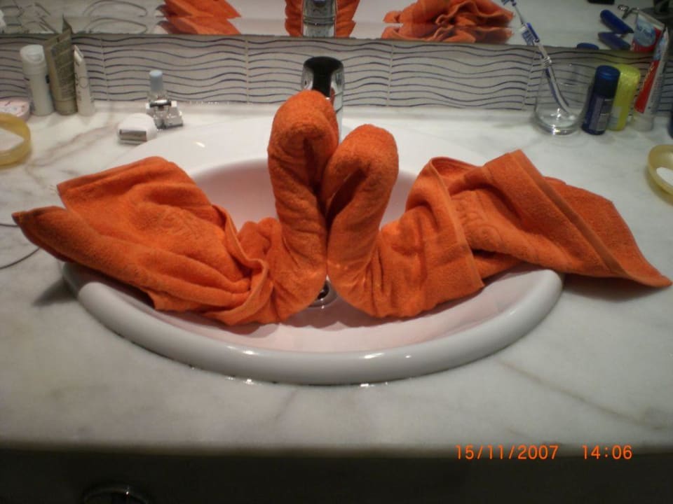 Die Schwäne SBH Hotel Costa Calma Palace