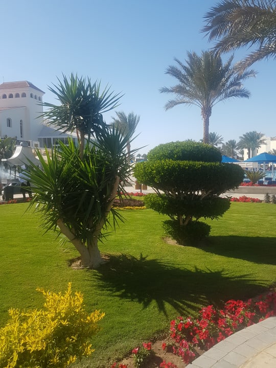 Gartenanlage Pickalbatros Dana Beach Resort - Hurghada