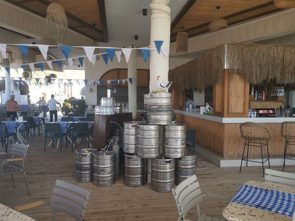 Strand Seashell Vega