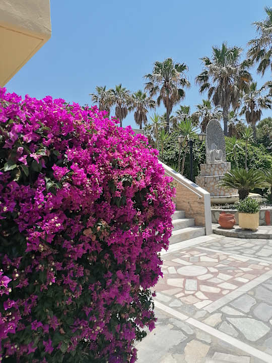 Gartenanlage Euro Village Achilleas Hotel