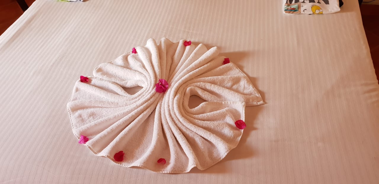 Zimmer Three Corners Sea Beach Resort