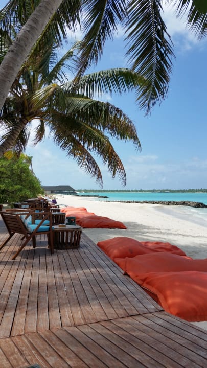 Bar Summer Island Maldives