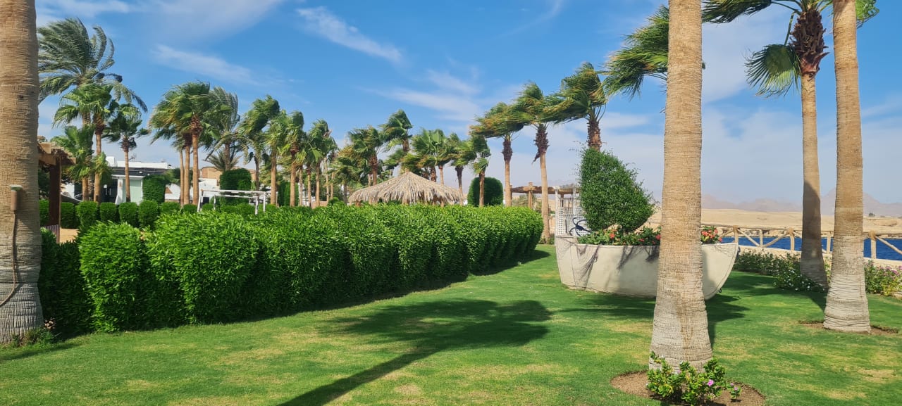 Gartenanlage Sharm Club Beach Resort