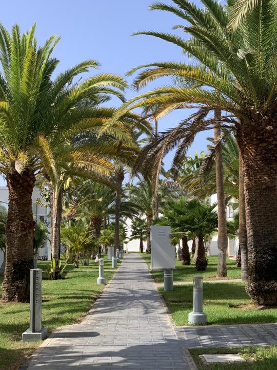 Gartenanlage Hotel Riu Palace Meloneras