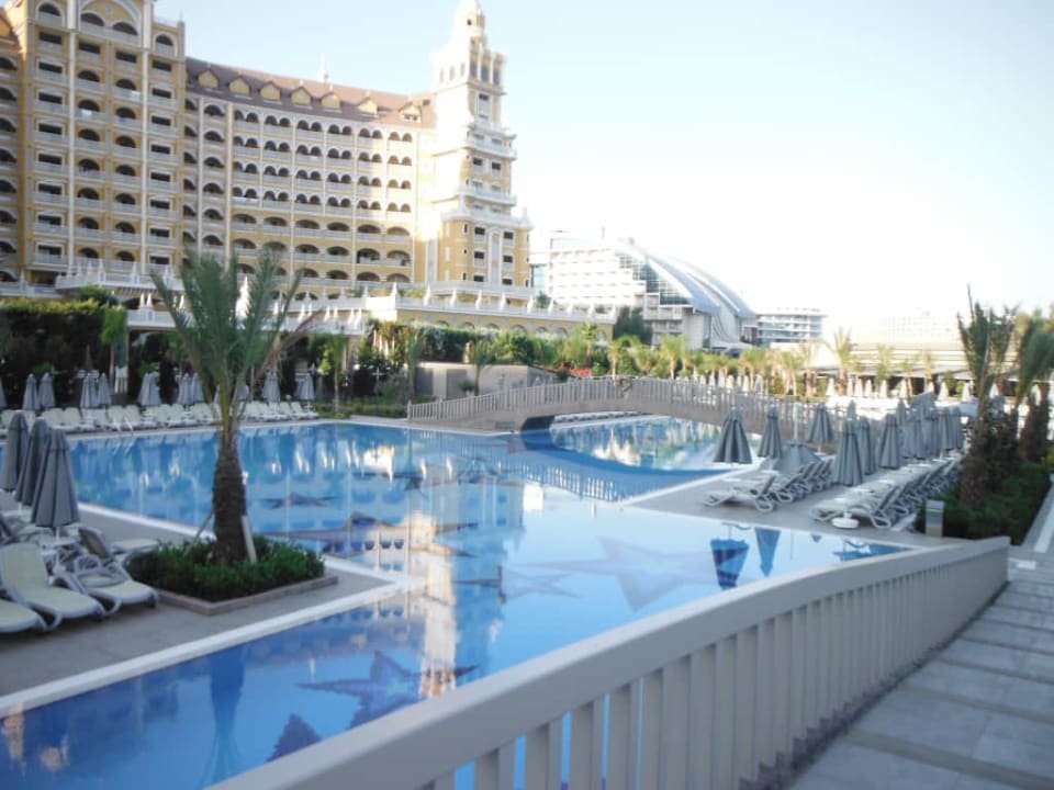 Royal Seginus Royal Seginus