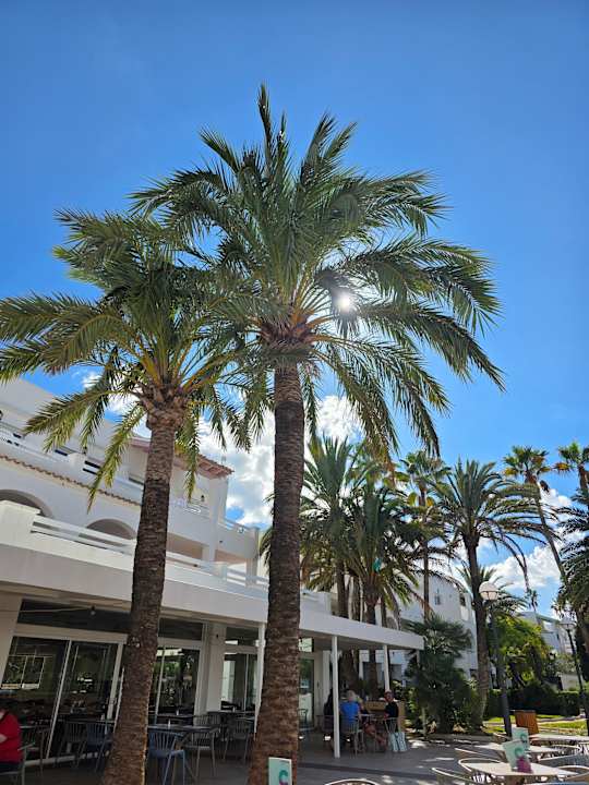 Gartenanlage Calimera Fido Gardens