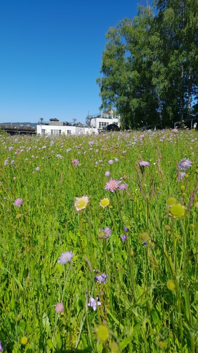 Gartenanlage Spirit & SPA Hotel Birkenhof am Elfenhain