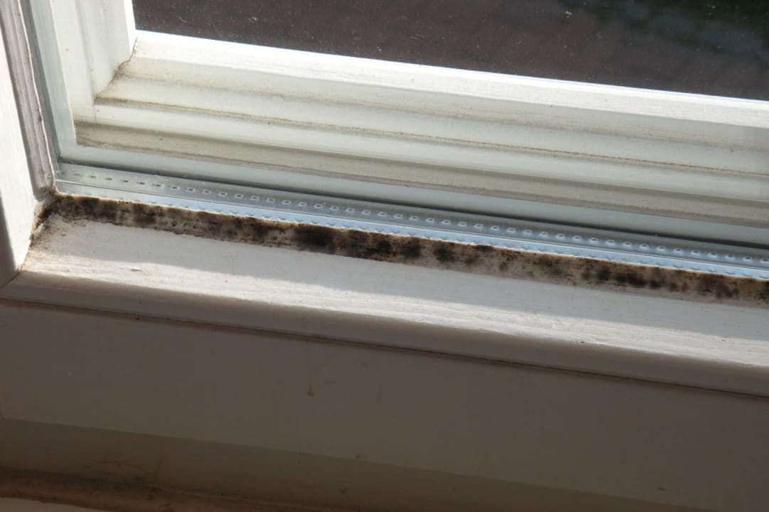 Schwarzschimmel an den Fensterfugen Ihr Ferien Hotel Brunnenhof