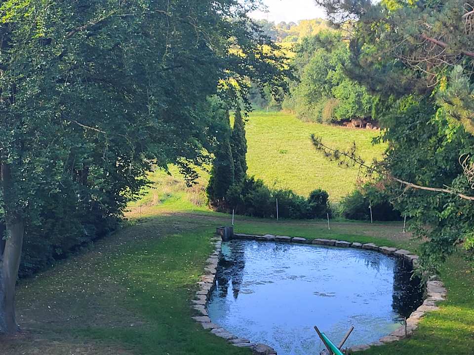 Gartenanlage Hotel Luisen-Muehle