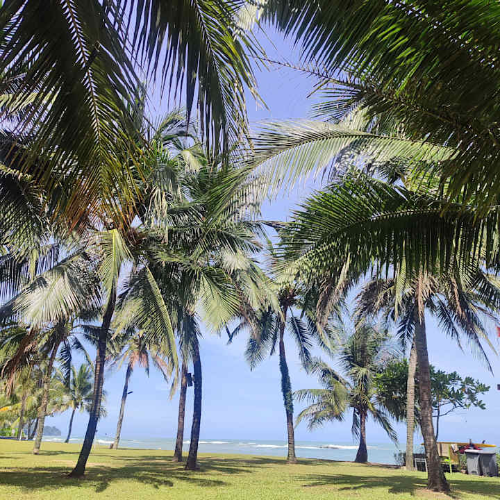Außenansicht The Sands Khao Lak by Katathani