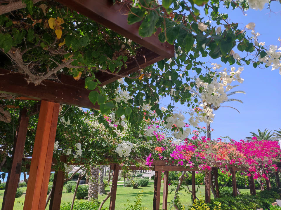 Gartenanlage Hotel Nissi Beach Resort