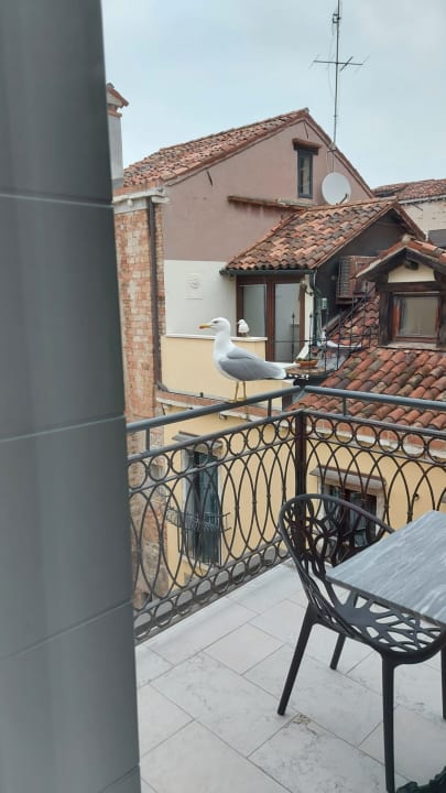 Zimmer H10 Palazzo Canova