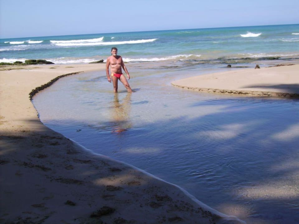 Fluss trifft Meer Viva V Samana by Wyndham – Adults Only