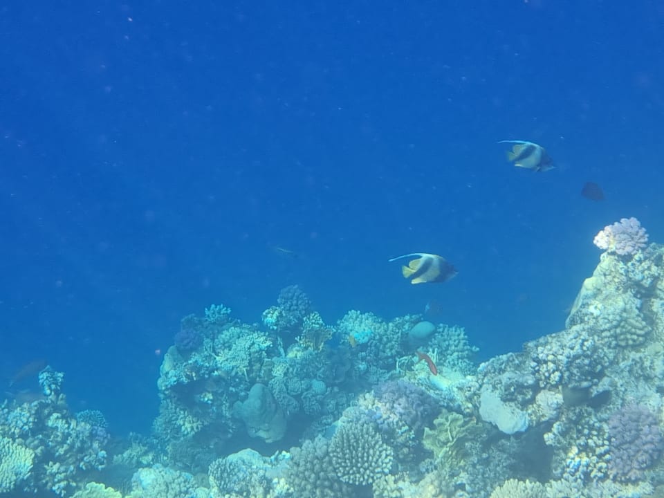 Strand Lazuli Hotel Marsa Alam