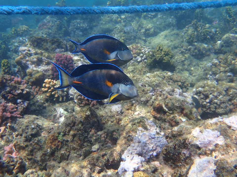 Strand Diamond Beach by Pearl Resort