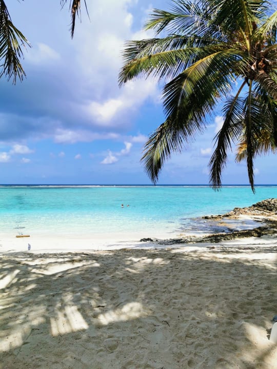 Ausblick Summer Island Maldives