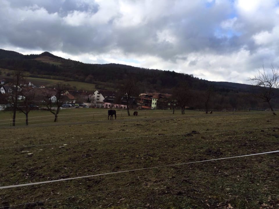 Foto Hotel Zum Löwen