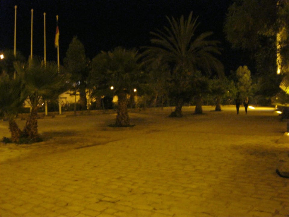 Bepflanzung vorm Hotel Diar Lemdina Hotel