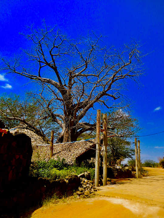 Lobby Rhino Valley Lodge