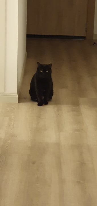 Sonstiges Hotel Riu Palace Jandia