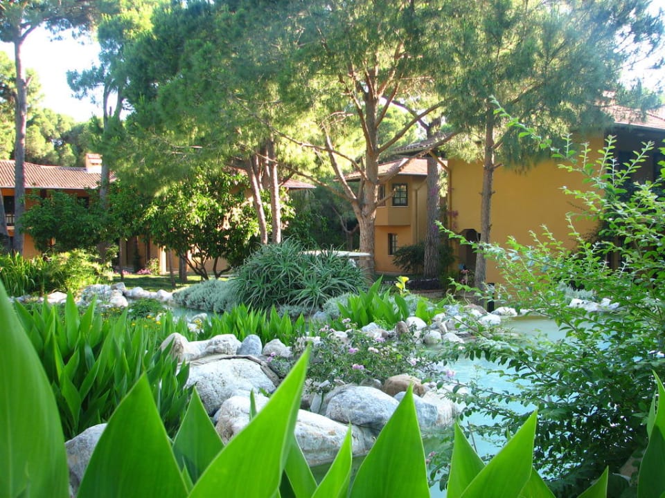 Ogród Asteria Family Belek