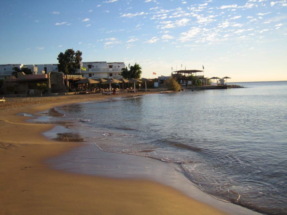 Strand Eagles Paradise Abu Soma