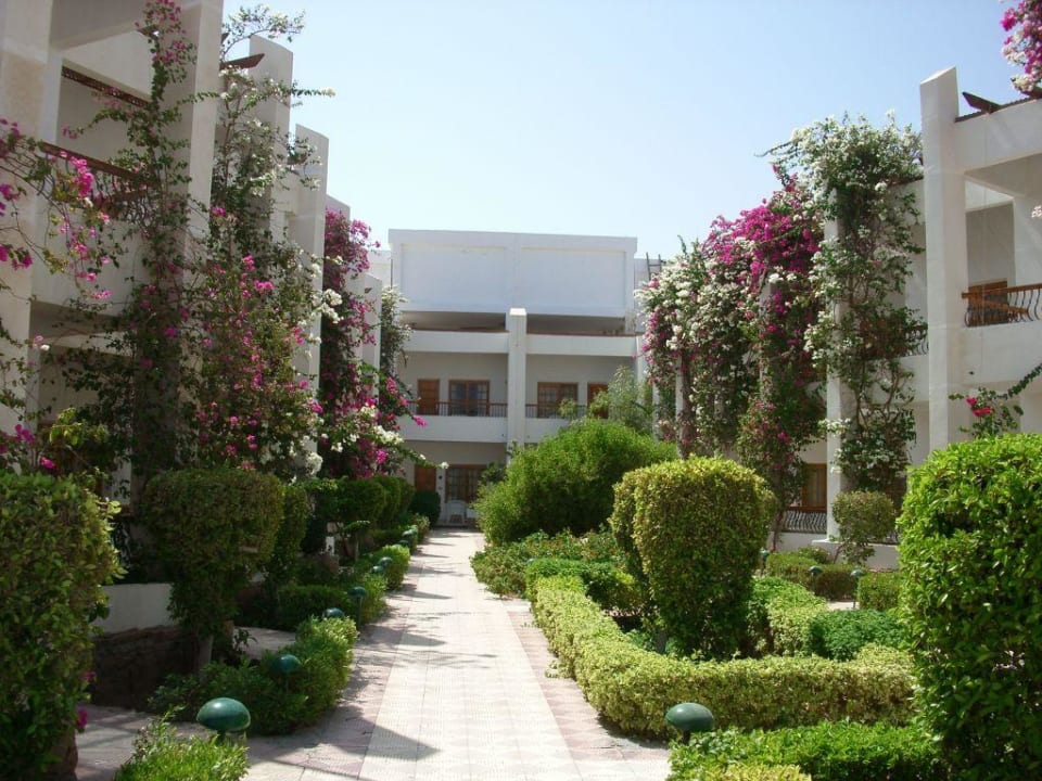 Wohnkomplex Menaville Safaga