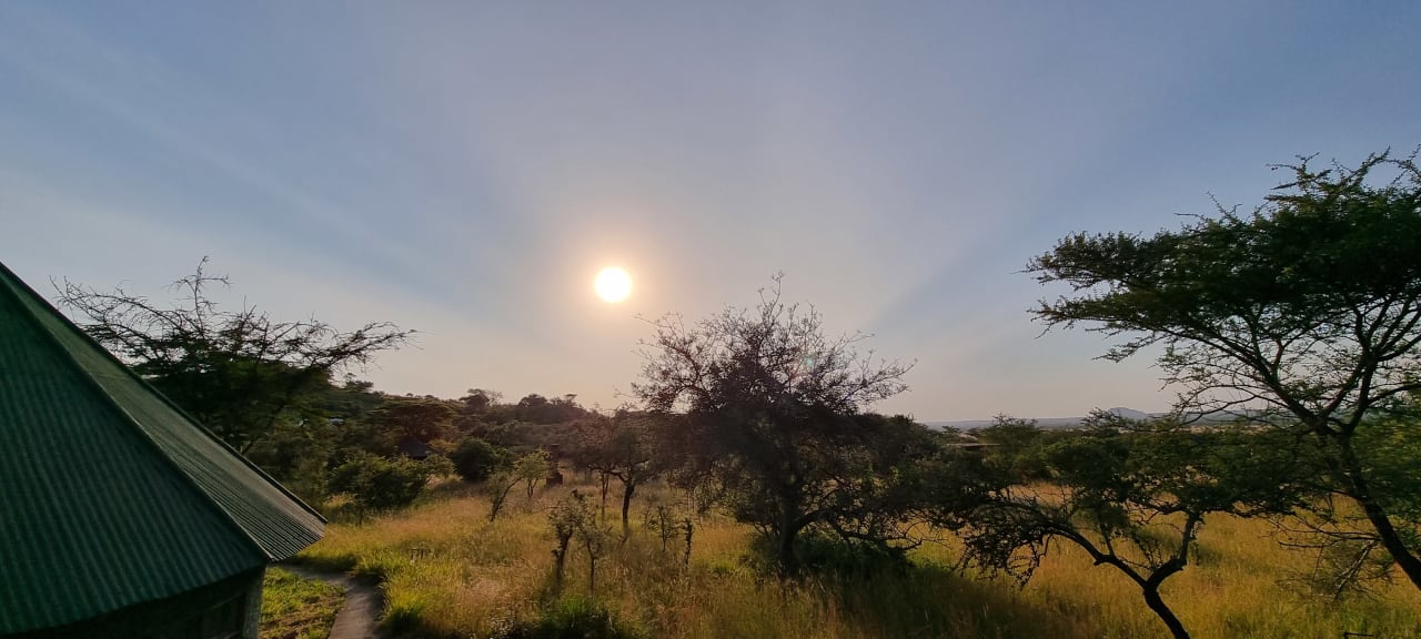 Ausblick Ikoma Wild Camp