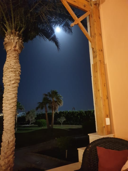 Zimmer Three Corners Sea Beach Resort