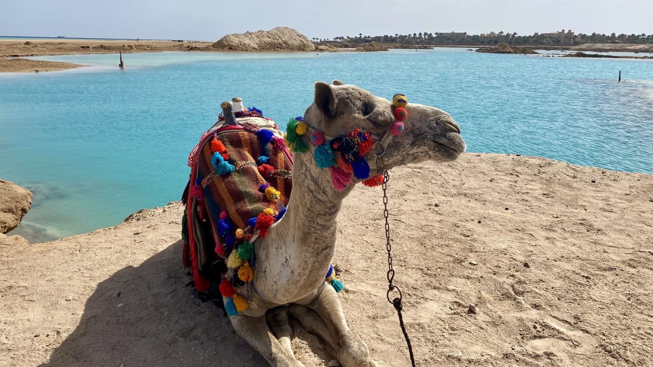 Sport & Freizeit Grand Makadi