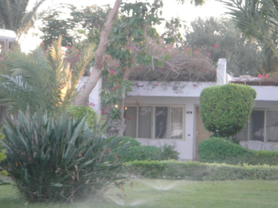 Rooms & Gardens Menaville Safaga