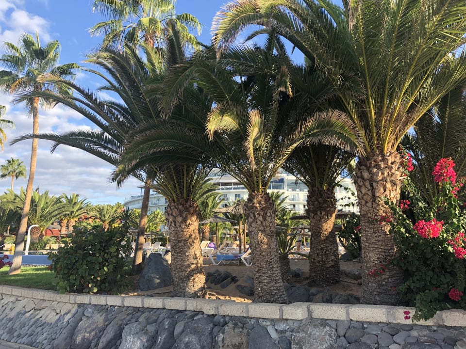 Pool Hotel Riu Arecas - Adults only