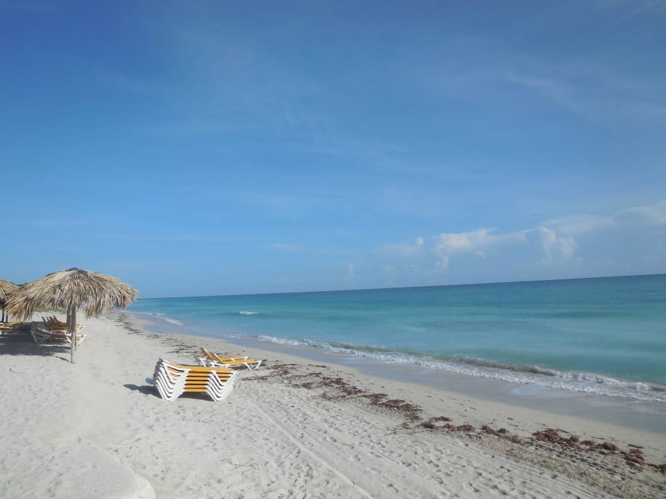 Ruhiger Strandabschnitt Iberostar Origin Playa Alameda